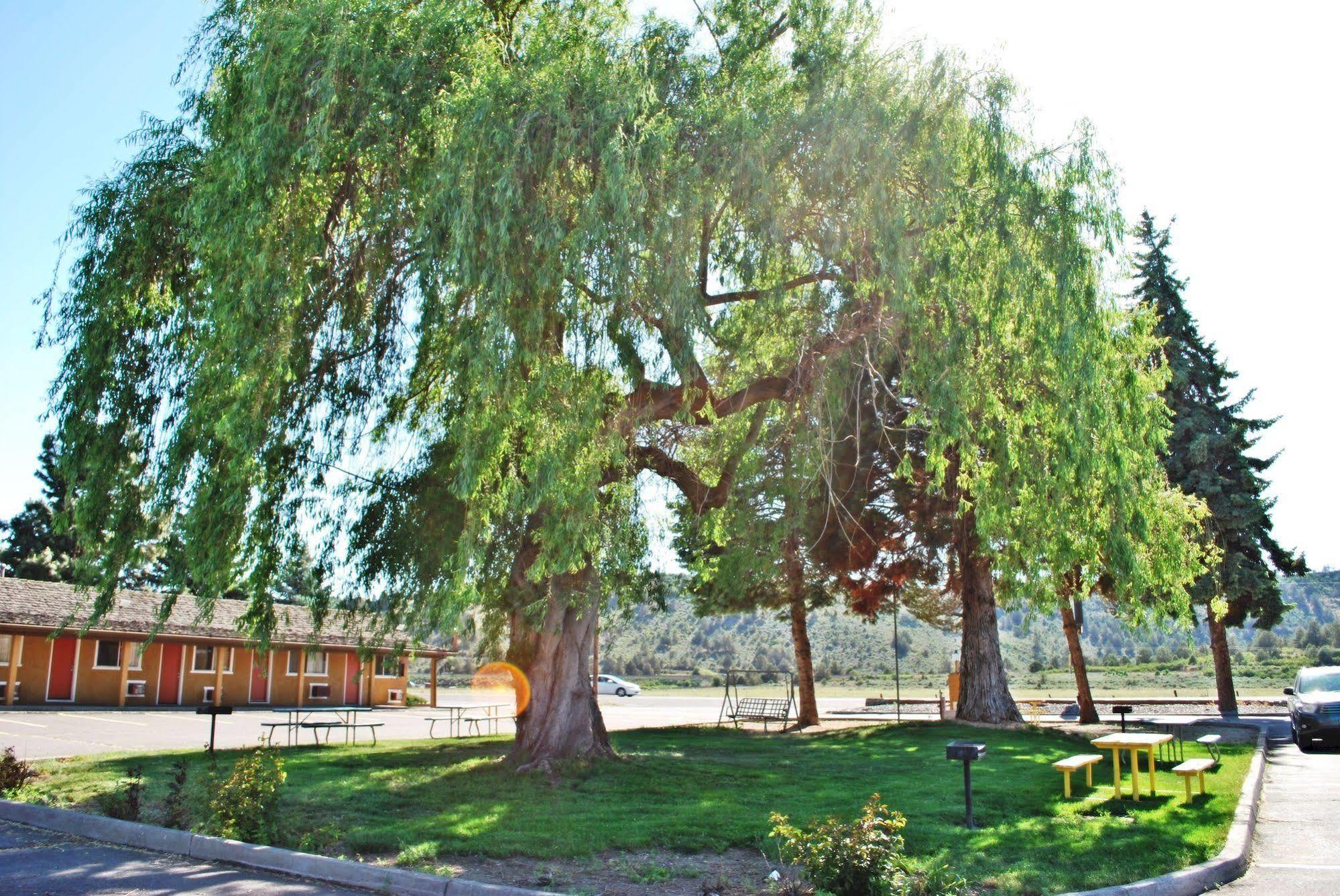 Oregon Motel 8 And Rv Park 클라마스 팔스 외부 사진